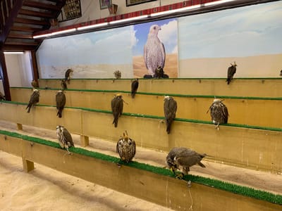Carousel image