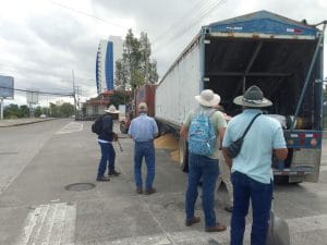 Productores nacionales de arroz. (Archivo/CRH).