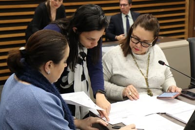 Diputadas Vanessa Castro (PUSC) y Sofía Guillén (FA) de la Comisión para el Control del Ingreso y Gasto Públicos. (Archivo/CRH).