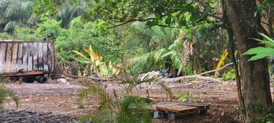 Los vecinos denuncia la destrucción de este humedal. (Foto: cortesía)