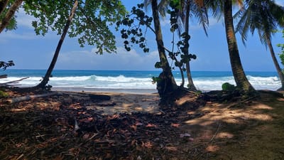 Refugio de Vida Silvestre Mixt Gandoca-Manzanillo/José Valerio Sánchez