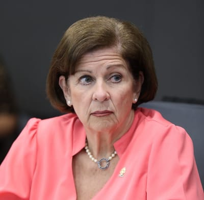 Diputada Pilar Cisneros