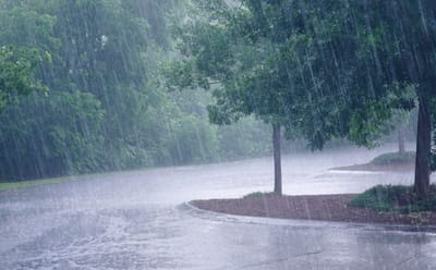 lluvia
