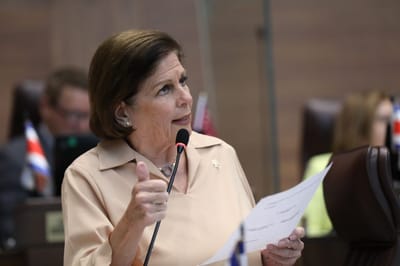Pilar Cisneros, diputada oficialista. (CRH).