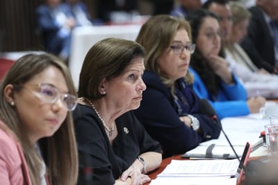 Este es uno de los pocos proyectos de ley que ha presentado la jefa del oficialismo.