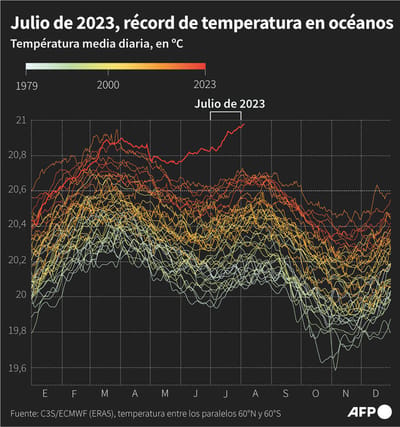 Temperatura media diaria de la superficie de los océanos, por año, en grados centígrados, entre los paralelos 60º Norte y 60º Sur, según estimaciones de C3S/ECMWF, a partir de los datos de ERA5 – AFP / AFP / JULIA HAN JANICKI