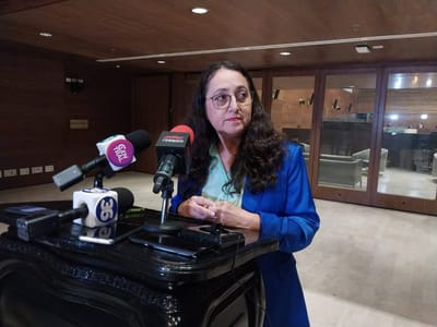 Diputada Luz Mary Alpízar. (Foto: CRH)
