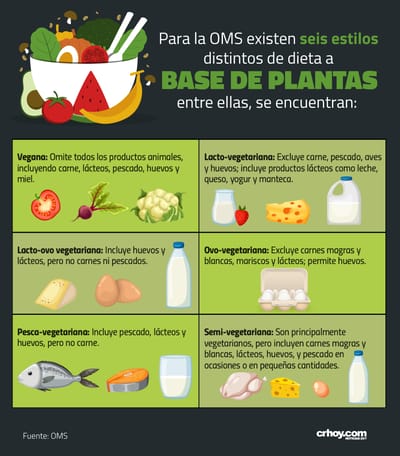 Tipos de alimentación según la OMS.