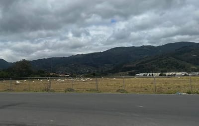 Terreno donde se pretende construir el nuevo hospital de Cartago | CCSS