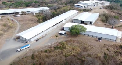 Parque Empresarial del Pacífico. Foto: Marco Sharp / YouTube