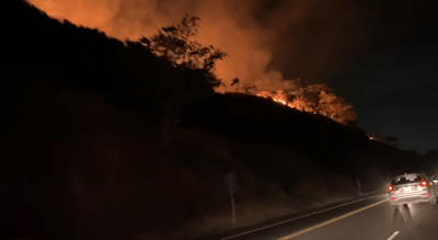 Incendio forestal