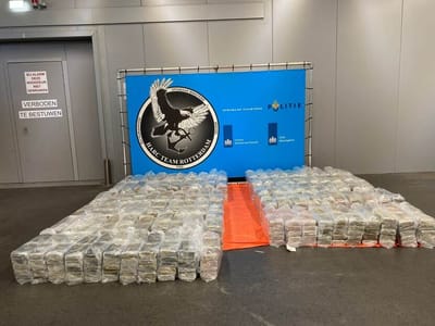 Cocaína decomisada en Róterdam en un contenedor con piña procedente de Costa Rica. Ministerio Público de Róterdam