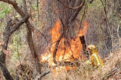 Incendio Isla Chira.