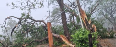 Daños por vientos en Nicoya
