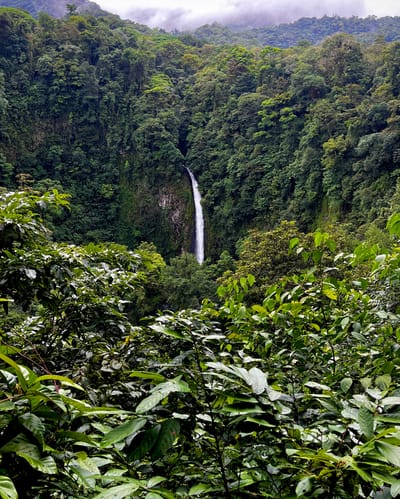 Catarata en el río Fortuna en San Carlos