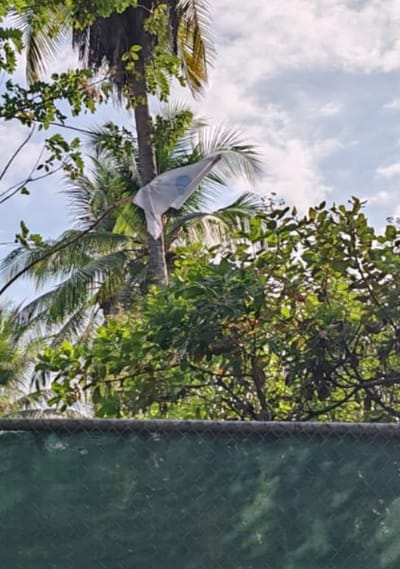 Finca Playa Bandera