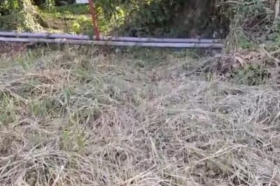 FOTO: (Cortesía)