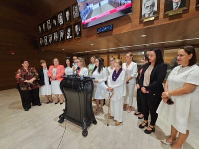 La mayoría de las diputadas se vistieron de blanco a raíz de este pronunciamiento. Foto: CRH