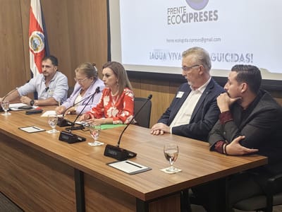 La solicitud la hicieron en conferencia de prensa en la Asamblea. Foto: PLP.
