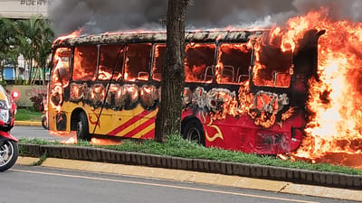 FOTO: (Cortesía)