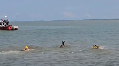 FOTO: (Captura de video)