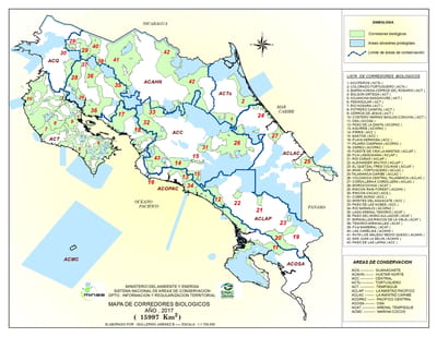 El Corredor Biológico Aguirre se encuentra próximo al Parque Nacional Manuel Antonio.