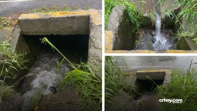 Esta es la alcantarilla sin rejilla donde cayó y murió hombre de 63 años
