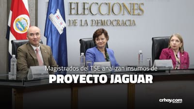 Magistrados titulares del TSE.
