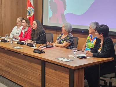 El grupo presentó sus preocupaciones en la Asamblea Legislativa. Foto: CRH.