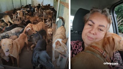 Irene Aguilar es rescatista de perros