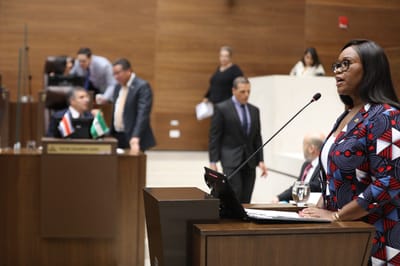 La Defensora rindió su informe en el plenario.