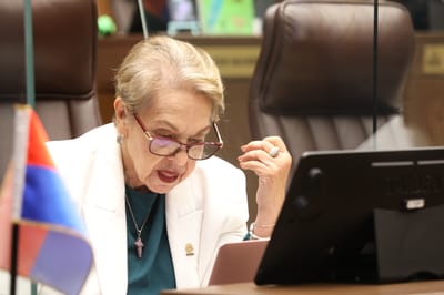 La moción fue presentada por la diputada Gloria Navas.