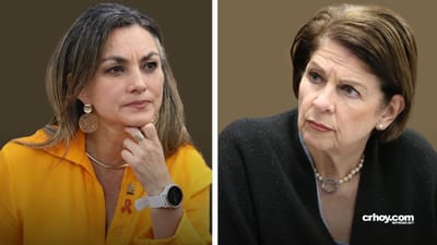 La diputada Cambronero denunció lo ocurrido en el plenario.