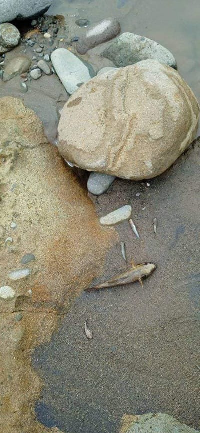 Carousel image