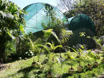 Viveros en Centro de Conservación de Santa Ana. Imagen captada en octubre de 2023/Facebook