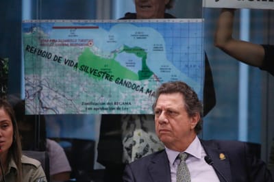 Franz Tattenbach, ministro de Ambiente.