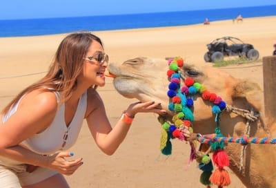 Carousel image