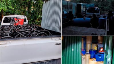 Operativo permite detener a 11 personas dedicas al robo de combustible en Limón