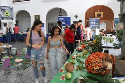 La feria ofrece diferentes atracciones a los visitantes.
