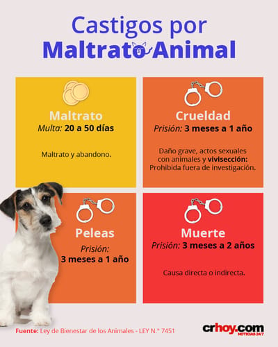 Castigos por maltrato animal