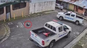 Perro atropellado por 2 patrullas.
