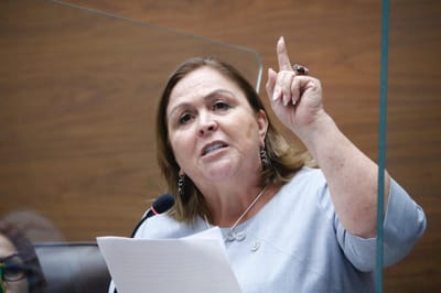 Rosaura Méndez, diputada del PLN (Archivo)