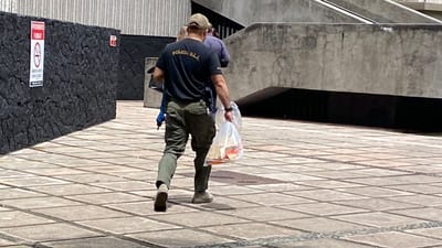Carousel image
