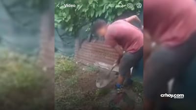 Hombre habría cavado un hoyo para enterrar al perrito