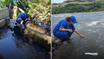 Culpan a 5 entidades por falta de protección a fuentes de agua
