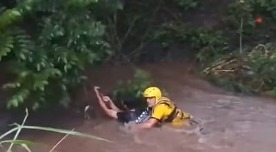 Cuerpo de Bomberos rescata a hombre que se aferró a rama de árbol para no ahogarse