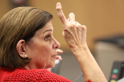 Diputada Pilar Cisneros.