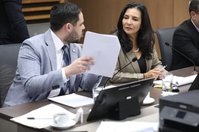 Un acuerdo de tres fracciones permitió un acuerdo del 2% al FEES.