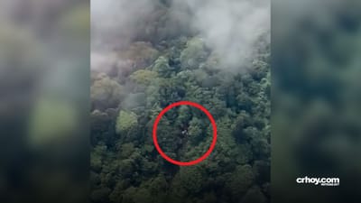 Avioneta accidentada en Pico Blanco