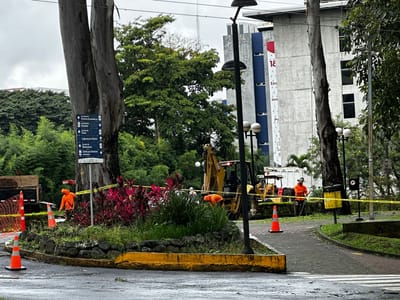 Corta de árboles en la UCR